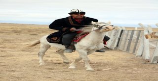 Yılkı Atları Kırgızların Elinde Evcilleşiyor