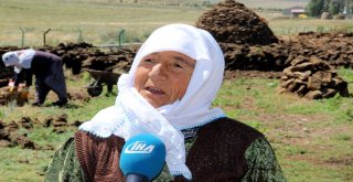 (Özel Haber) Kırsalda Tezek Geleneği