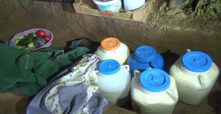 Yaylacıların Hayat Mücadelesi