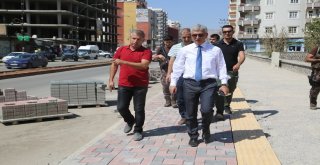 Arıcan Çalışmaları Denetledi