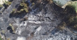 Antalyada Yangının Ardından Ürküten Manzara