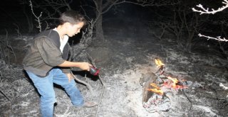 Ayvalıkta Zeytinlik Yangını