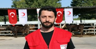 Başkan Erdoğanın Vekalet Kurbanı Sakaryada Kesildi