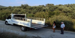 Dana Ferdinand ‘Huzur Çiftliğinde