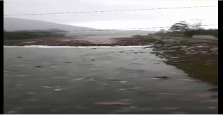 Ünyedeki Selin Gelme Anı Kamerada