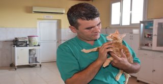 Bir Daha Yürüyemez Demişlerdi