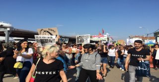 Büyükadada ‘Faytona Son, Atlara Özgürlük Eylemi