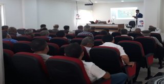 Ayvacıka 6 Ayda 1,2 Milyon Liralık Elektrik Yatırımı