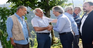 Başkan Demircan Köyünde Çay Topladı