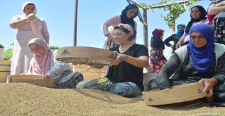 Mardinli Şef Dünya Sıralamasında