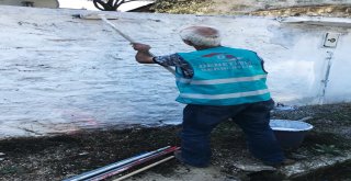 Denetimli Serbestlik Yükümlüleri Kore Gazisiin Evini Boyadı