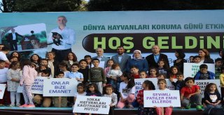 Kağıthanede Çocuklardan Hayvanlara Mektup Rekoru