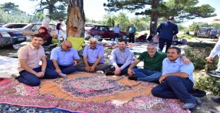 Dereyalak Mercimeği Hasattan Önce Bitiyor