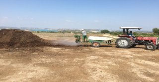 Tarsus Belediyesinin Kokuyla Mücadelesi Devam Ediyor