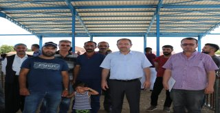 Erzincanda Genç Çiftçiler Koyunlarına Kavuştu