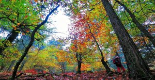 Keşif Yolcuları Kazdağlarında Sonbahar Renklerinin Peşinde