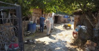 Şarbon Şüphesiyle Karantinaya Alınan Mahallelerde İlaçlama Devam Ediyor