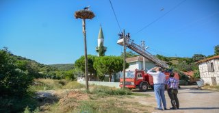 Leylek Yavrularına İtfaiye Merdiveniyle Özel Besleme