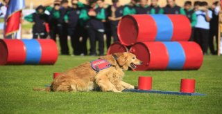 Nevşehirde Cumhuriyet Bayramı Kutlamalarına Eğitimli Köpeklerin Gösterisi Damga Vurdu