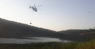 Tavşanlıdaki Orman Yangını Kontrol Altında