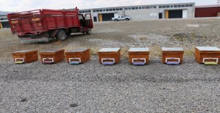 Genç Çiftçilere Arı Ve Arıcılık Malzemesi Dağıtıldı