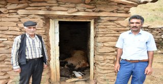 Sıcaktan Sığındıkları Kulübede Telef Oldular