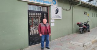 Zeytin Üreticilerinde Dev Rekolte Bildirimi