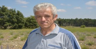 (Özel Haber) Köylüyü Lavanta Balı Kurtaracak