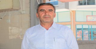 Van Balığı Tezgahlardaki Yerini Aldı