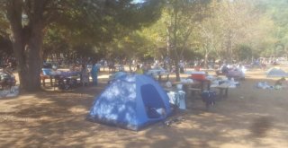 Kuşadası Milli Parkı Bayram Tatilinde Ziyaretçi Rekoru Kırdı