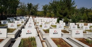 Kara Şehitliğinde Peyzaj Çalışmaları Başladı
