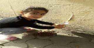 Anaokulu Öğrencileri Egzotik Hayvanlarla Tanıştı