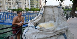 Adanada Termometreler 48 Dereceyi Gösterdi, Köpekler Göle Girdi