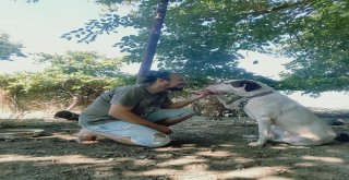 Mimarlıktan Hayvancılığa