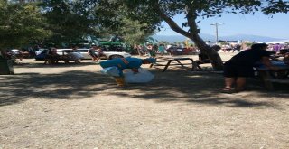 Kuşadası Belediyesinden Temizlik Açıklaması