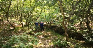 Piknikte Kaybolan Yaşlı Adam Bulundu