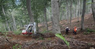 Kırklarelinde Gençleştirme Çalışmalarına Başlandı