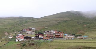 Anzer Yaylası, Ayder Ve Uzungöl Gibi Olmayacak