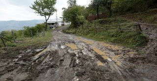 Başkan Togar, Selden Etkilenen Yerleri İnceledi