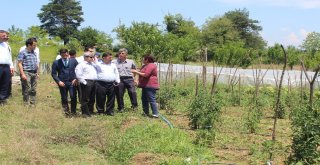 Vali Çınar Devrekte İncelemelerde Bulundu