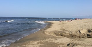 Karasuda Denize Girmek Yasaklandı