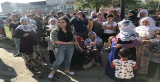 Her Şey Yandı, Bir Tek Kuran-I Kerim Yanmadı