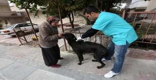 Münevver Teyzenin Yeni Yuvası Hazırlanıyor