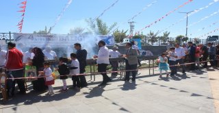 Vanda Balık Festivaline Yoğun İlgi