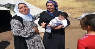 Gurbetteki Göçerler Yaylada Bayramlaştı