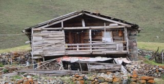 Anzer Yaylası, Ayder Ve Uzungöl Gibi Olmayacak