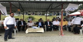 Sekmen Koşapınarlıların Festival Coşkusuna Ortak Oldu