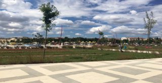 Larva Mücadelesi Aralıksız Devam Ediyor