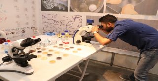 Mersin Bilim Şenliği Başladı