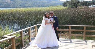 Tatilciler, Abant Tabiat Parkında 5 Kilometrelik Araç Kuyruğu Oluşturdu